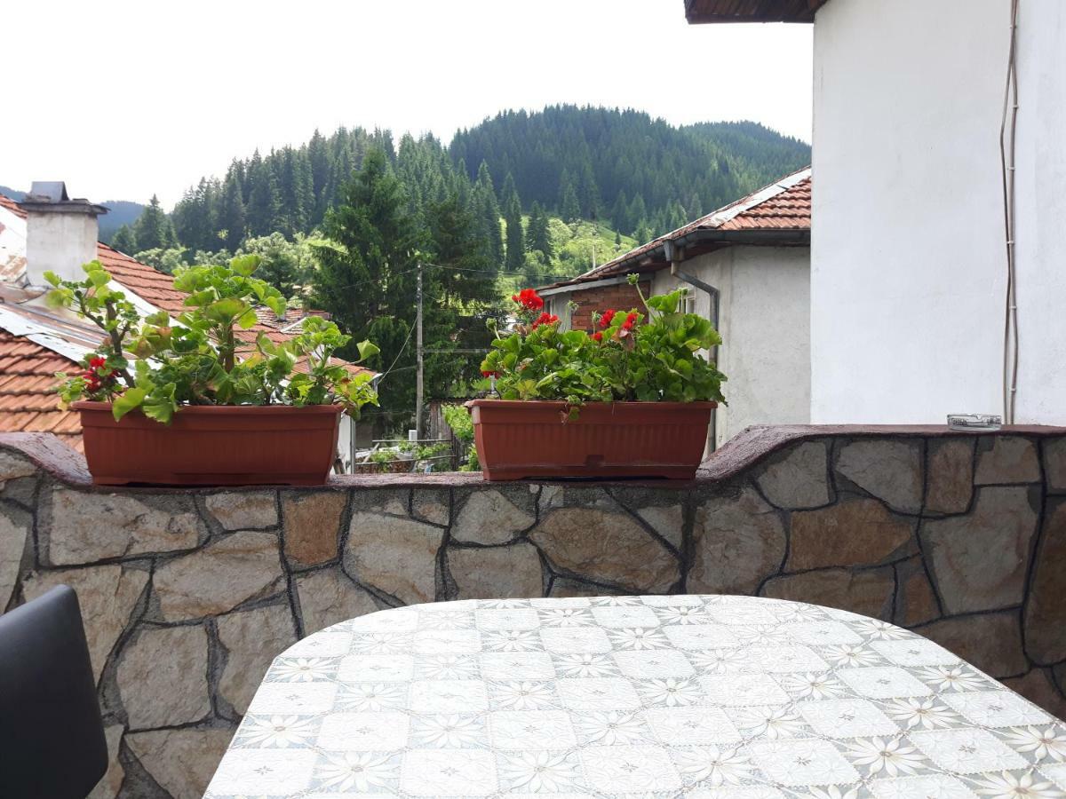 Guest House Denitsa Trigrad Esterno foto